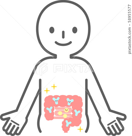 一個微笑的人與乳酸菌在腸子里工作 58955577