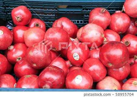 Large pomegranate fruit 58955704