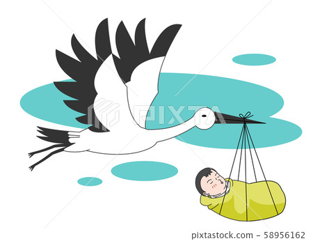 Pregnancy and the fetus 58956162