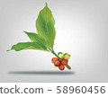 Green leaf coffee  58960456