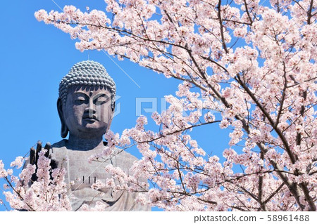 Spring cherry blossom and Ushiku Daibutsu Spring cherry blossom and Ushiku Daibutsu 58961488