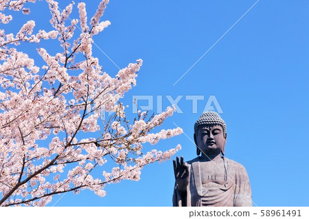 Spring cherry blossom and Ushiku Daibutsu Spring cherry blossom and Ushiku Daibutsu 58961491