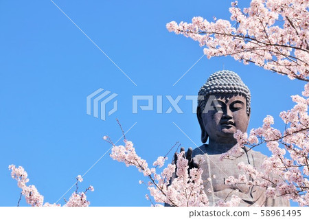 Spring cherry blossom and Ushiku Daibutsu Spring cherry blossom and Ushiku Daibutsu 58961495