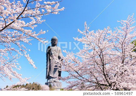 春天的櫻花和牛久大佛 春天的櫻花和牛久大佛 58961497
