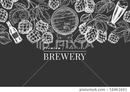 Beer and hop design template. Hand drawn vector Beer and hop design template. Hand drawn vector 58961691