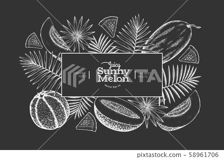 Melons and watermelons with tropical leaves design 58961706