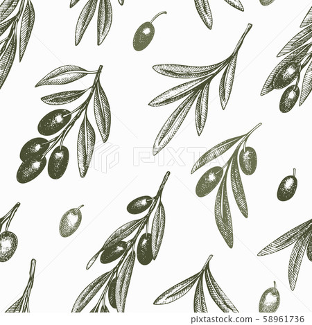 Olive branch seamless pattern. Hand drawn vector - Stock Illustration ...