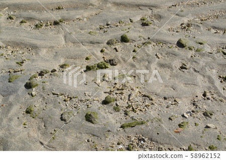 Texture sand ripples ripple sand beach Tokunoshima Kamezu 58962152