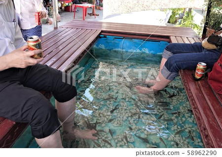 Doctor fish Doctor fish 58962290