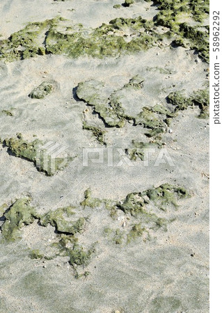 Texture sand ripples ripple sand beach Tokunoshima Kamezu 58962292