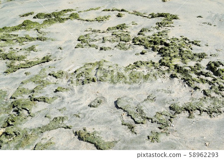 紋理沙波紋漣漪沙灘德之島龜津 紋理沙波紋漣漪沙灘德之島龜津 58962293