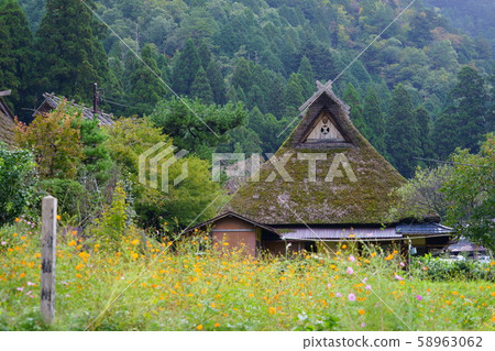 秋季里山1 58963062