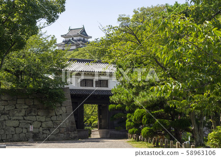 Wakayama Castle Okaguchi Gate and Tenshu 58963106