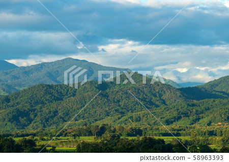 Beautiful summer landscape in the mountains with Beautiful summer landscape in the mountains with 58963393