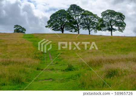 Beautiful Landscape in Lyme Park estate, Peak District, UK Beautiful Landscape in Lyme Park estate, Peak District, UK 58965726