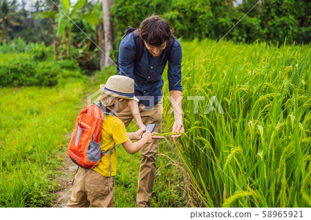 Dad and son identify plants using the application on a smartphone. augmented reality Dad and son identify plants using the application on a smartphone. augmented reality 58965921