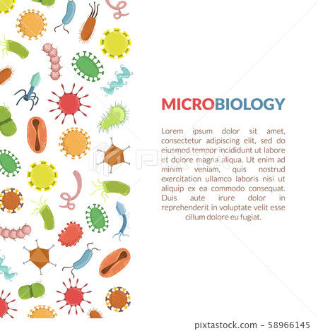 Microbiology Banner or Landing Page Template with Text and Colorful Bacterias, Science and Medicine 58966145
