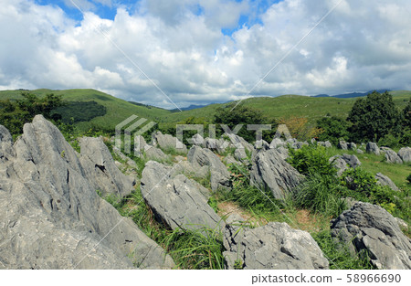 Akiyoshidai 58966690