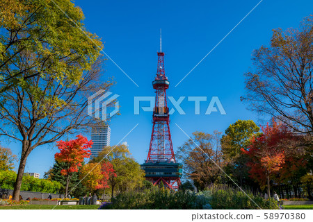 札幌電視塔城市景觀 58970380