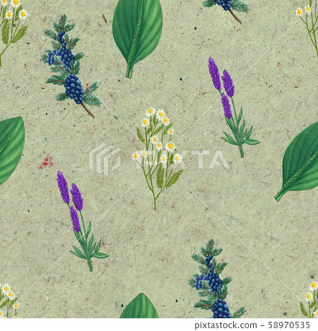 Hand drawn medicinal plant seamless pattern. Healing herbs drawing on craft paper. Hand drawn medicinal plant seamless pattern. Healing herbs drawing on craft paper. 58970535