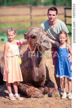 Family with camels in the zoo on warm and sunny summer day. Active family leisure. 58970553