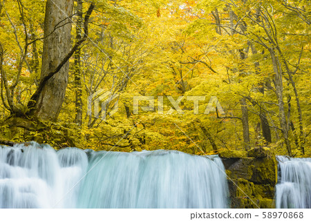 Oirase Stream Choshi Otaki Oirase Stream Choshi Otaki 58970868