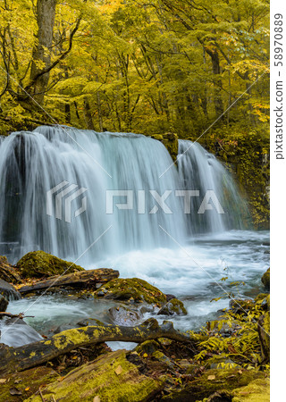 Oirase Stream Choshi Otaki Oirase Stream Choshi Otaki 58970889