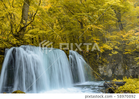 Oirase Stream Choshi Otaki 58970892