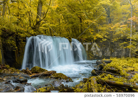 Oirase Stream Choshi Otaki 58970896