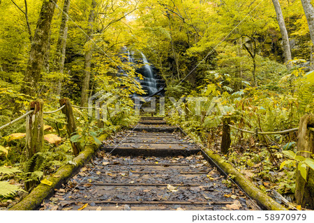 Oirase streams Kudan waterfall 58970979