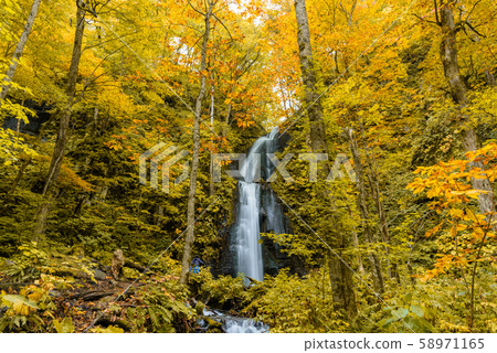 Oirase stream Falls in Yunii Oirase stream Falls in Yunii 58971165