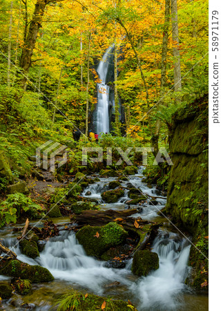 Oirase小河在Yunii落 Oirase小河在Yunii落 58971179