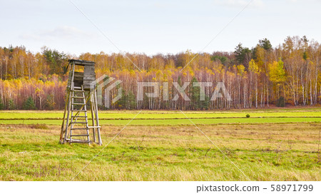 Hunting tower in a field with autumnal forest Hunting tower in a field with autumnal forest 58971799