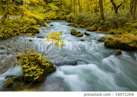 Oirase stream 58972269
