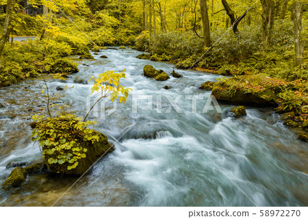 Oirase stream 58972270