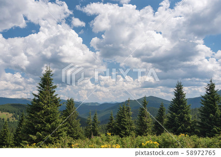 Summer landscape in the Carpathian mountains. View 58972765