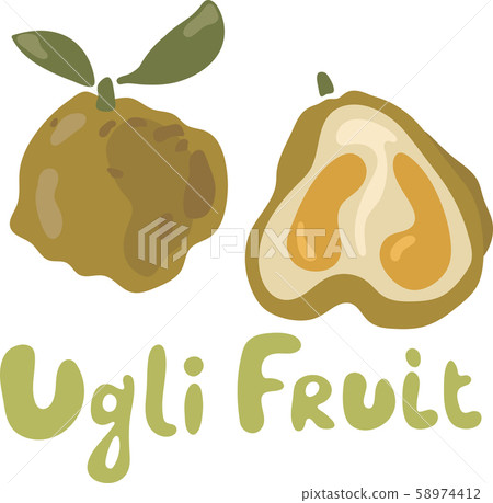 Ugli fruit sticker or icon isolated on white background. Bright vector illustration of colorful half 58974412