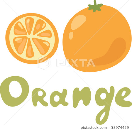 Orange fruit without leaf. Slice and whole. Vector illustration for cooking book with doodle cute Orange fruit without leaf. Slice and whole. Vector illustration for cooking book with doodle cute 58974459
