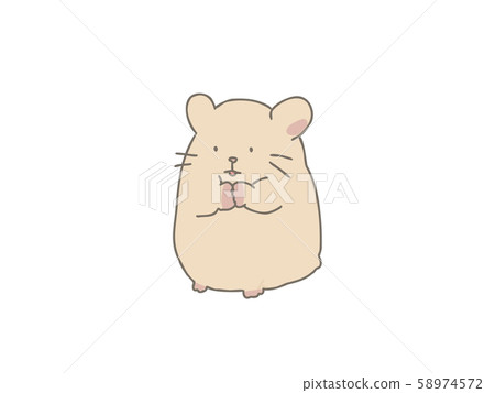 Kinka hamster 58974572