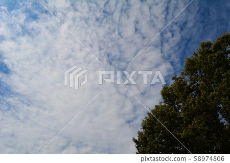 秋天的天空 秋天的天空 58974806