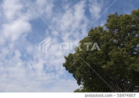 秋天的天空 秋天的天空 58974807