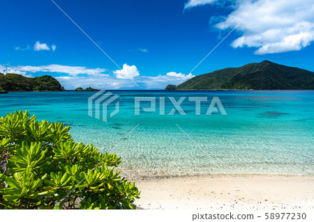 泰恩海灘 泰恩海灘 58977230