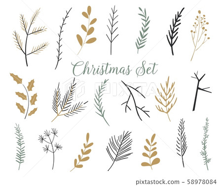 Christmas set of plants with flowers, spruce branches, leaves. Set of fir branches. Christmas tree Christmas set of plants with flowers, spruce branches, leaves. Set of fir branches. Christmas tree 58978084