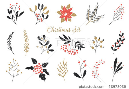 Elegant Christmas Graphic Set. Set of plants with flowers, spruce branches, leaves and berries. Hand Elegant Christmas Graphic Set. Set of plants with flowers, spruce branches, leaves and berries. Hand 58978086