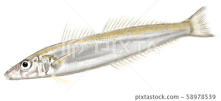 D D hand drawing 58978539