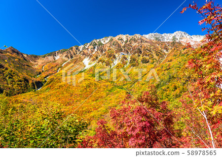 <Toyama Prefecture> Autumn leaves of Kurobedaira and Tateyama Kurobe Alpine Route <Toyama Prefecture> Autumn leaves of Kurobedaira and Tateyama Kurobe Alpine Route 58978565