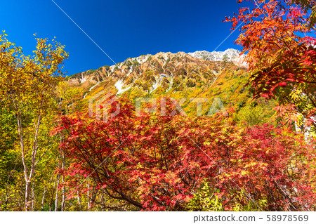 <富山縣>黑部平和立山黑部阿爾卑斯山脈的紅葉 58978569