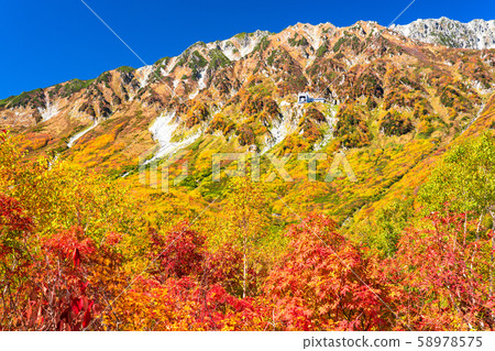 <富山縣>黑部平和立山黑部阿爾卑斯山脈的紅葉 58978575
