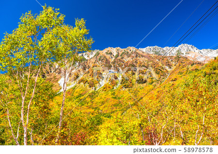 <Toyama Prefecture> Autumn leaves of Kurobedaira and Tateyama Kurobe Alpine Route 58978578