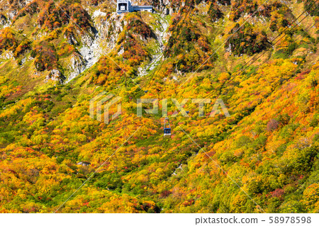 <富山縣>黑部平和立山黑部阿爾卑斯山脈的紅葉 <富山縣>黑部平和立山黑部阿爾卑斯山脈的紅葉 58978598